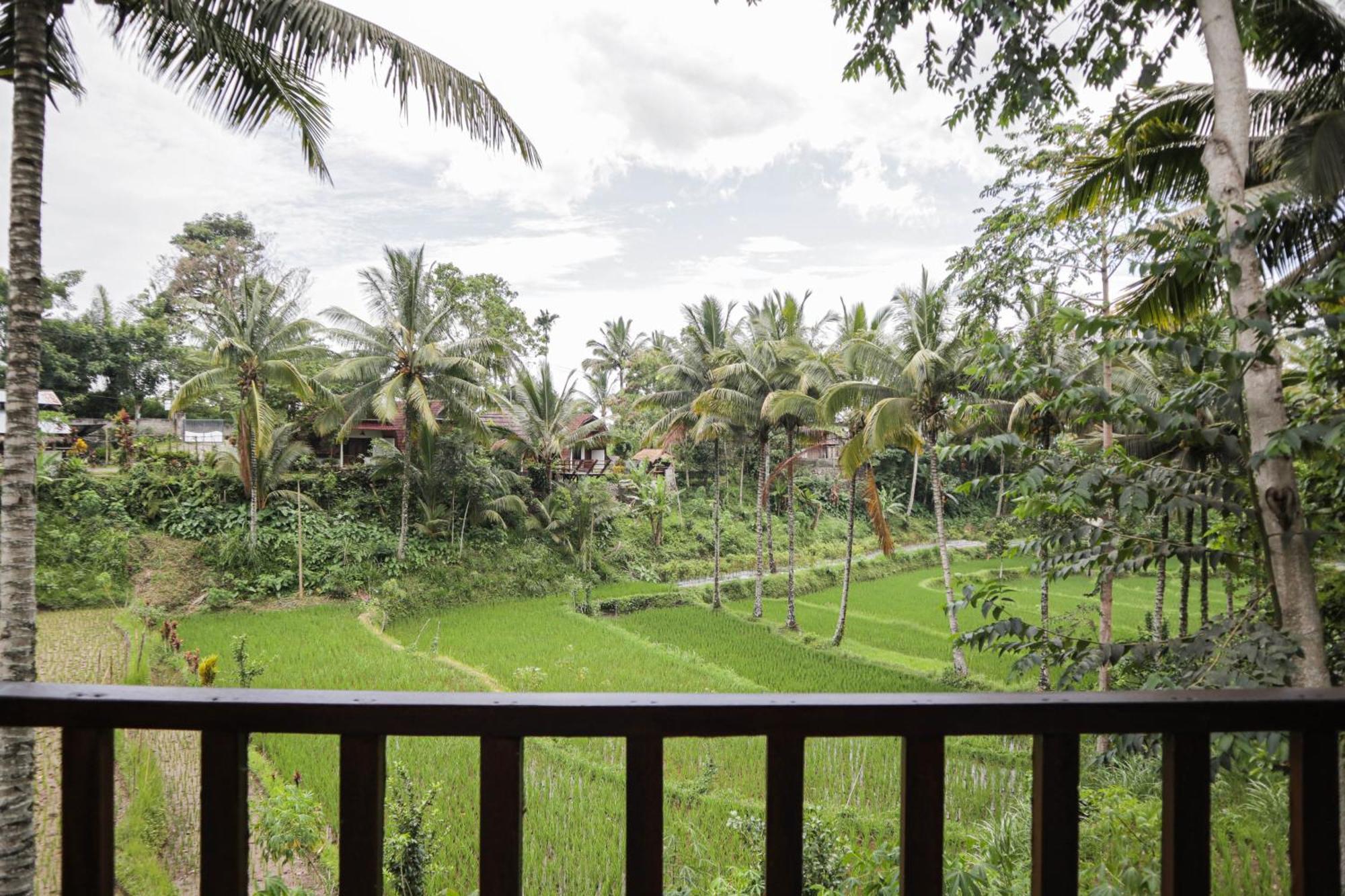 Nea Cottage Lombok Tetebatu Extérieur photo