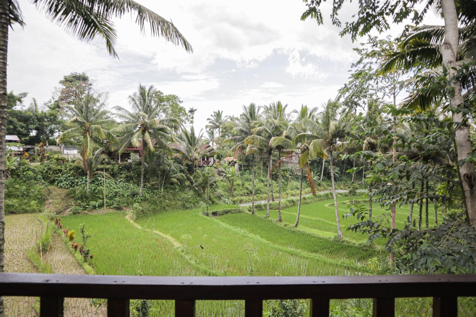 Nea Cottage Lombok Tetebatu Extérieur photo