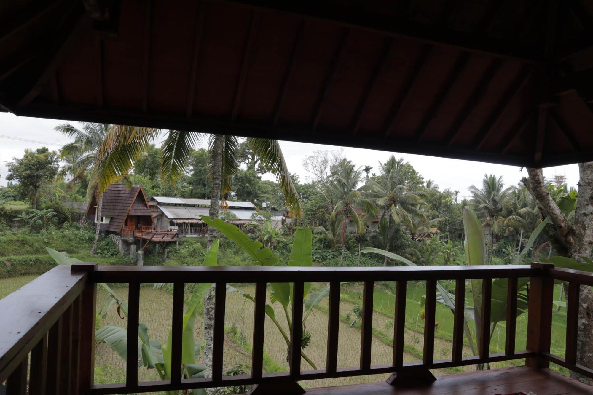 Nea Cottage Lombok Tetebatu Extérieur photo