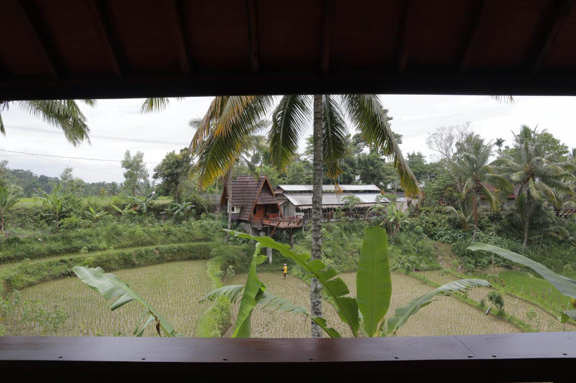 Nea Cottage Lombok Tetebatu Extérieur photo