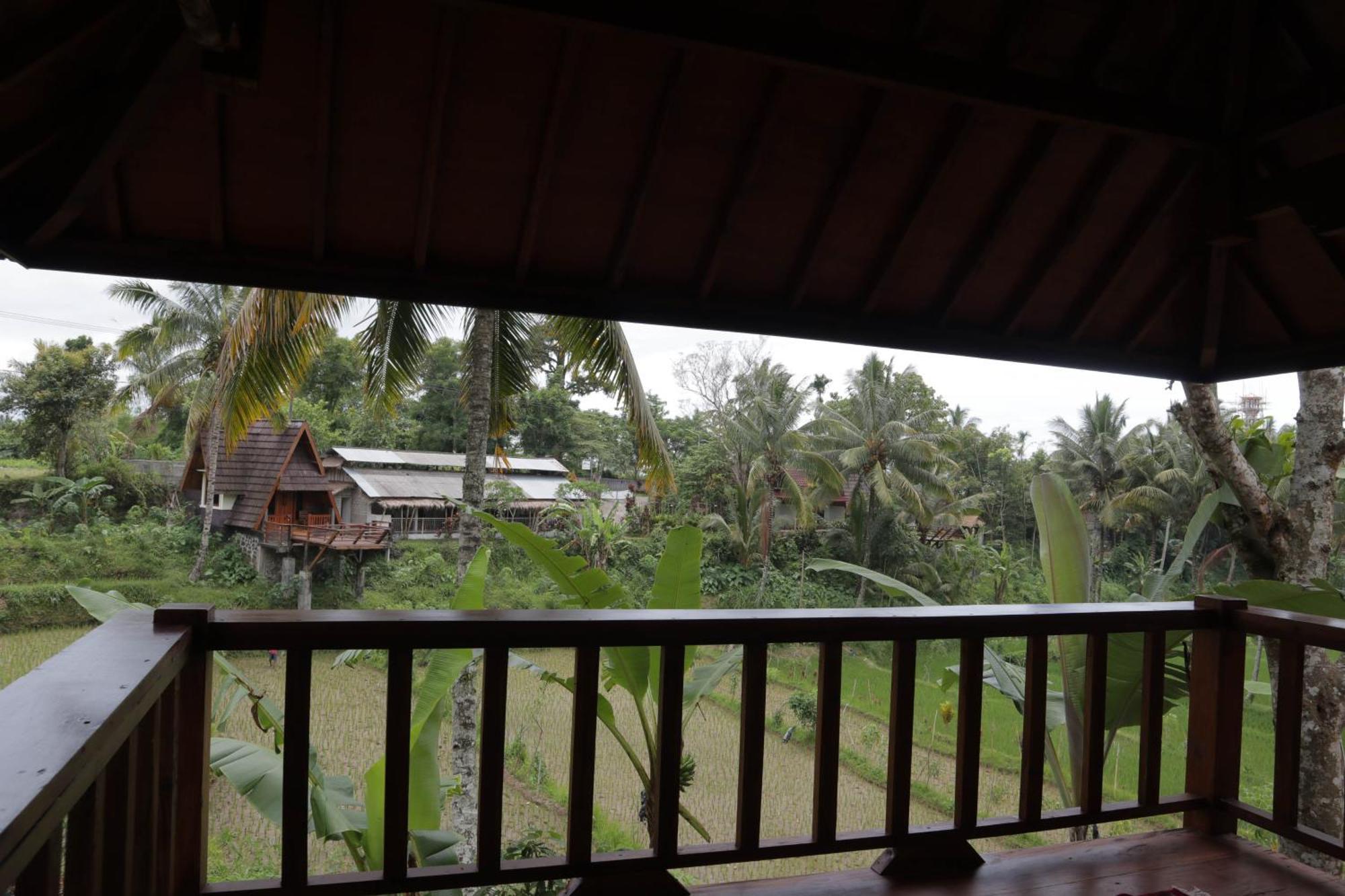 Nea Cottage Lombok Tetebatu Extérieur photo