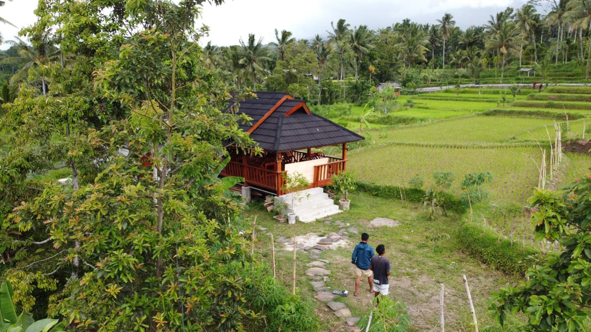 Nea Cottage Lombok Tetebatu Extérieur photo