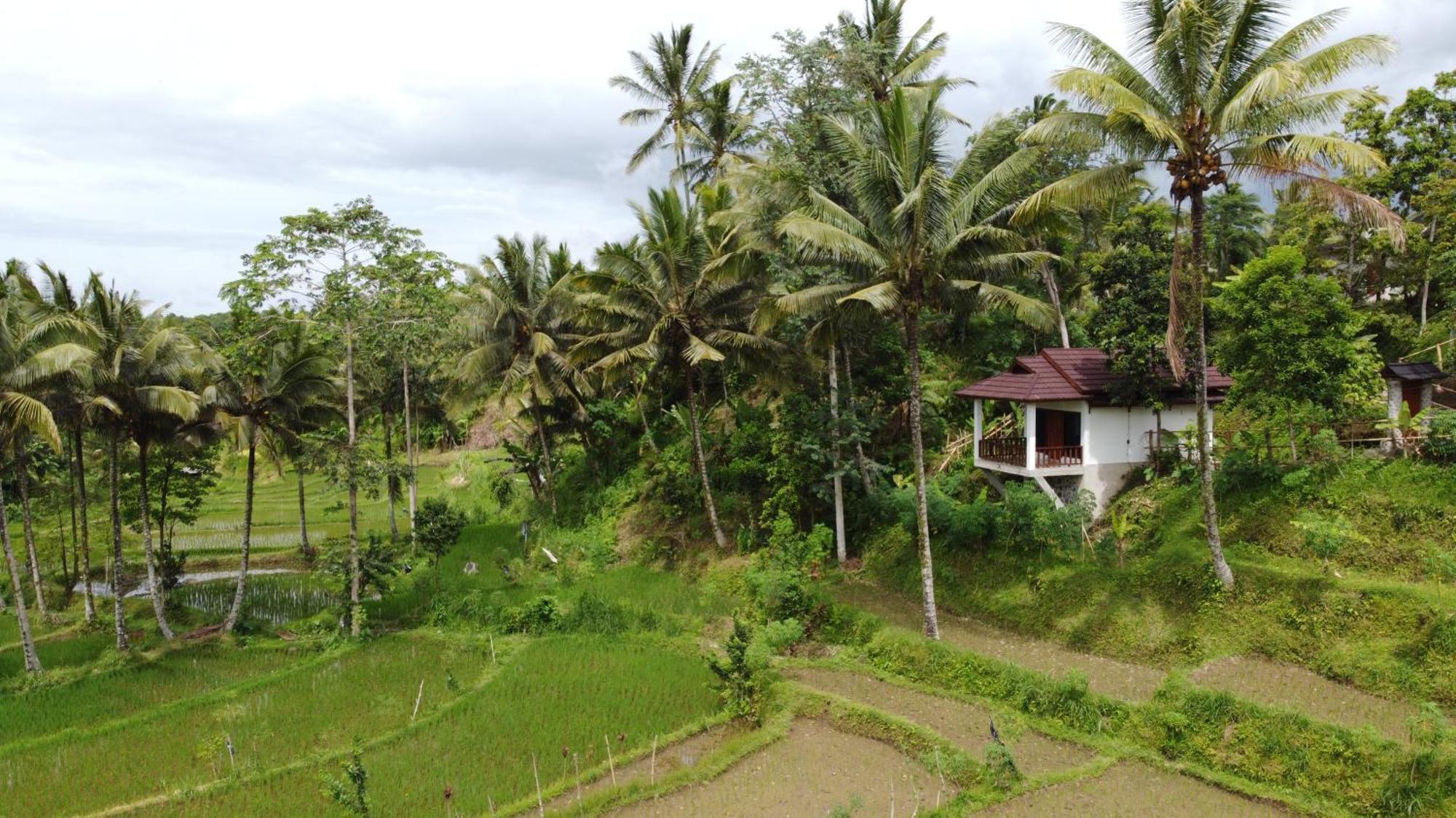 Nea Cottage Lombok Tetebatu Extérieur photo
