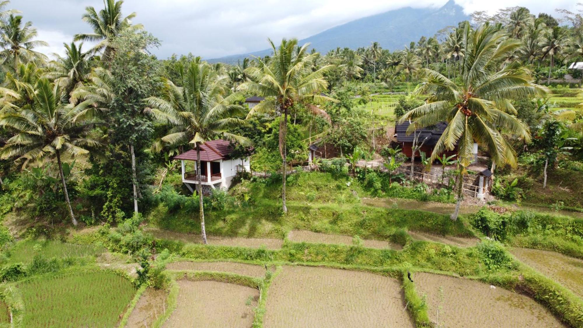 Nea Cottage Lombok Tetebatu Extérieur photo