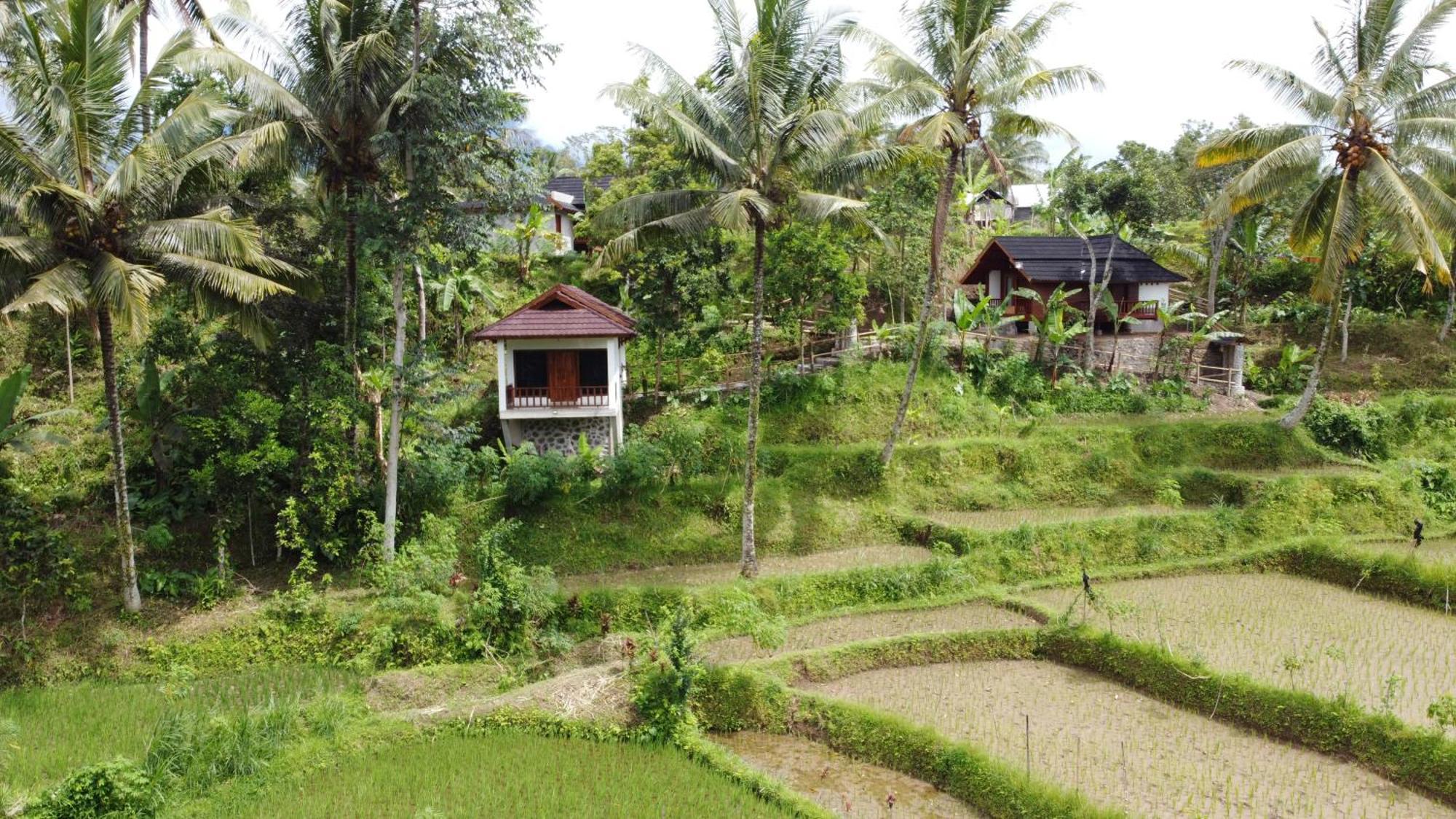 Nea Cottage Lombok Tetebatu Extérieur photo