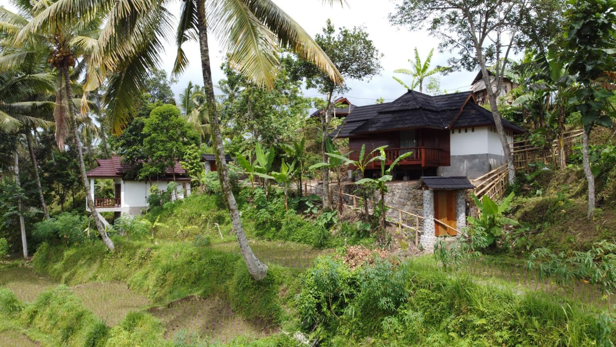 Nea Cottage Lombok Tetebatu Extérieur photo