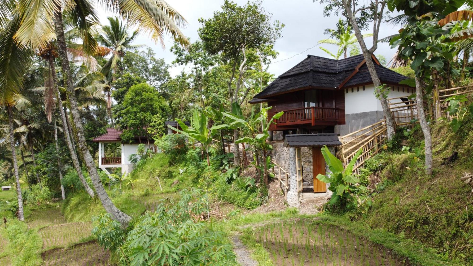 Nea Cottage Lombok Tetebatu Extérieur photo