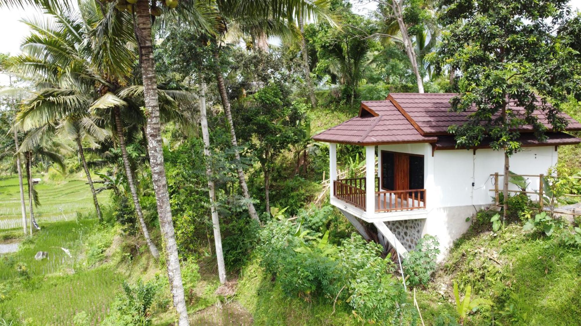 Nea Cottage Lombok Tetebatu Extérieur photo
