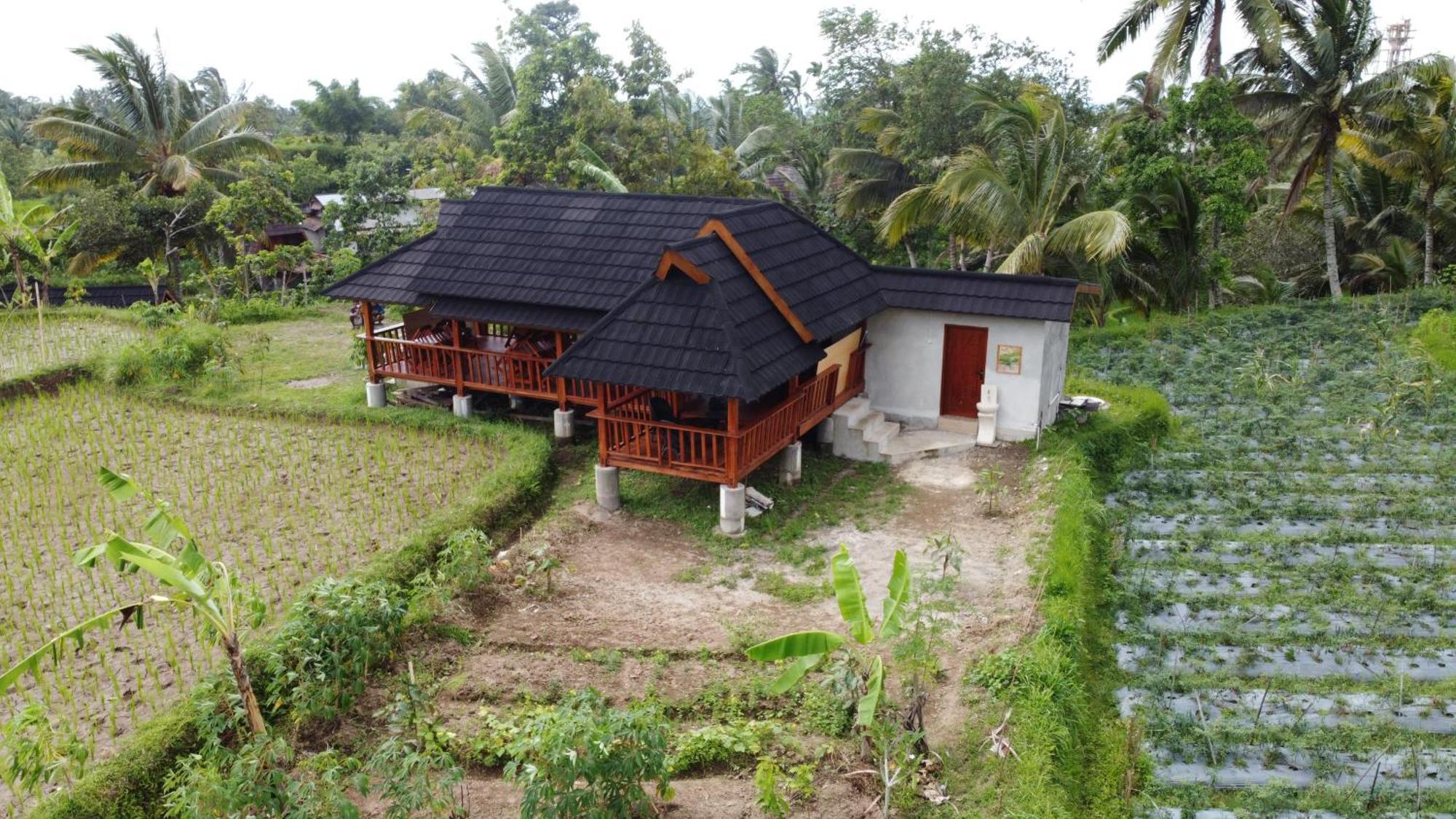 Nea Cottage Lombok Tetebatu Extérieur photo