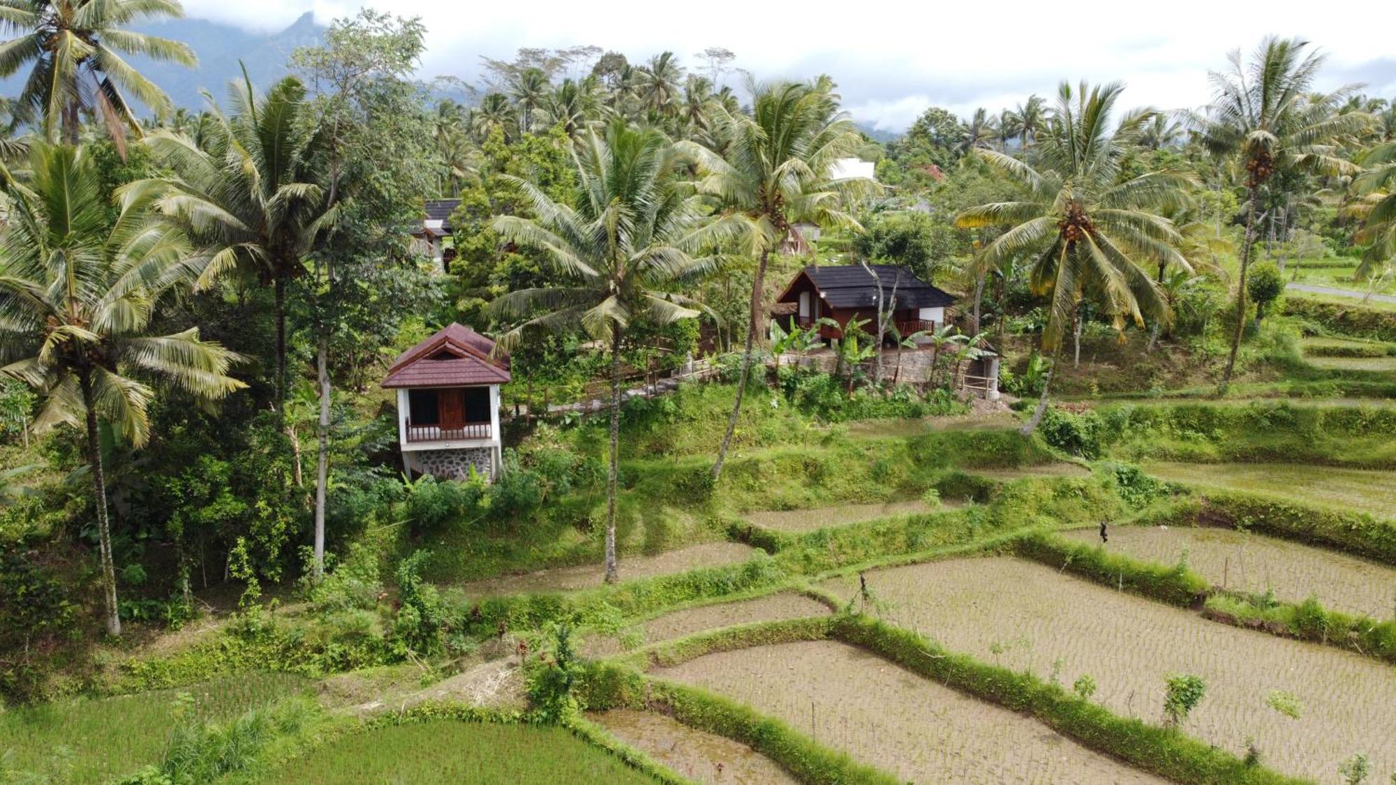 Nea Cottage Lombok Tetebatu Extérieur photo