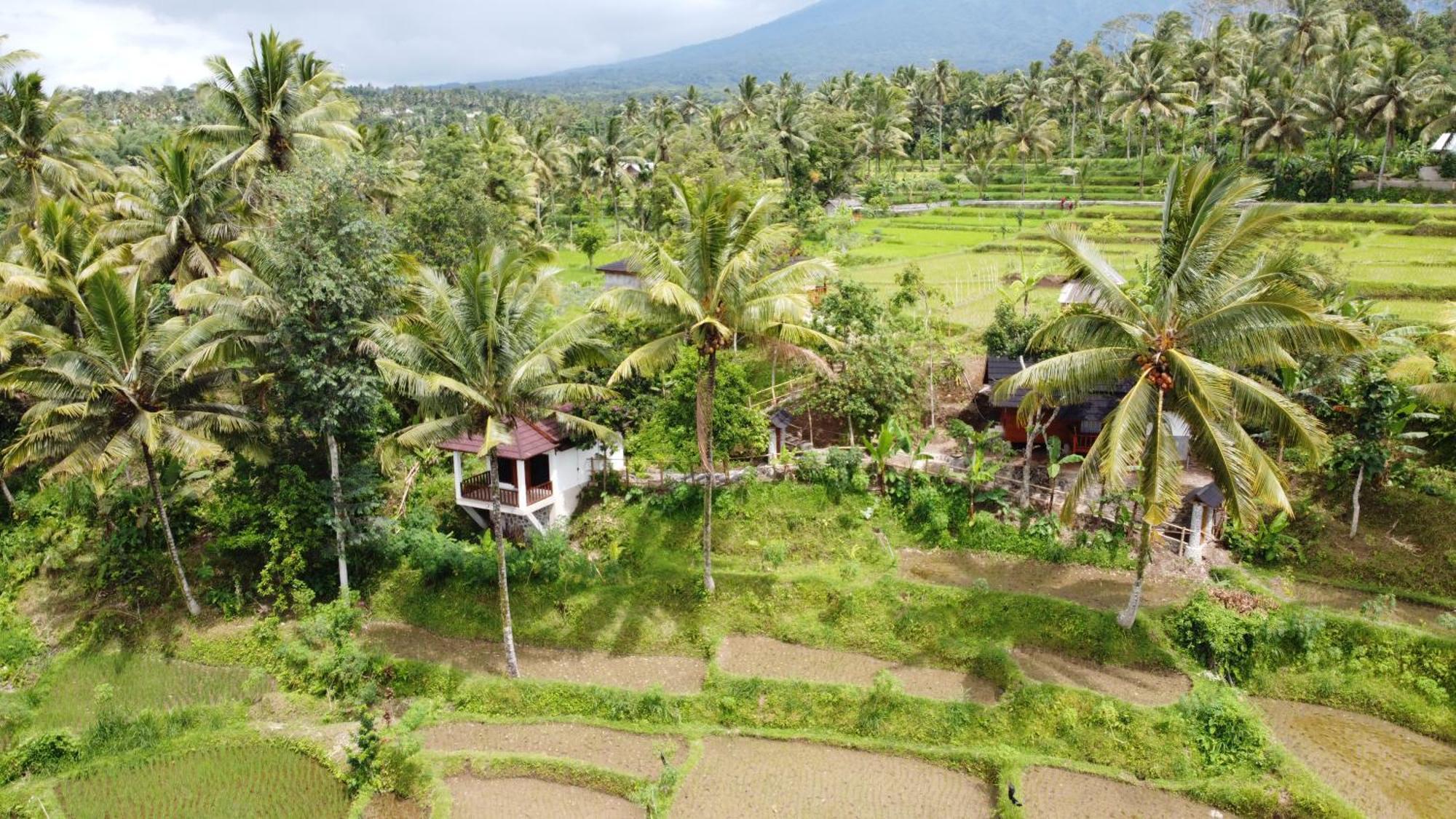 Nea Cottage Lombok Tetebatu Extérieur photo