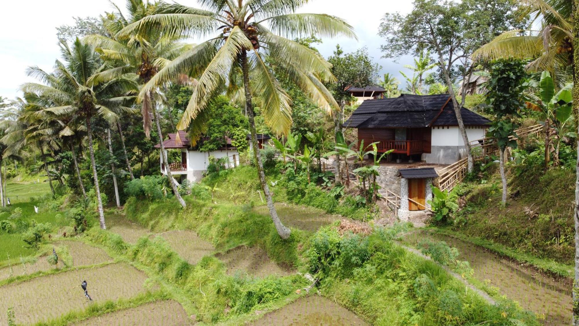 Nea Cottage Lombok Tetebatu Extérieur photo