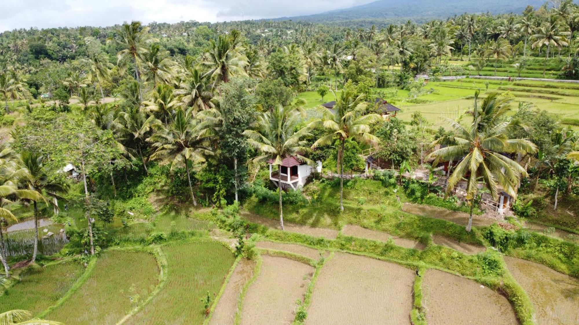 Nea Cottage Lombok Tetebatu Extérieur photo