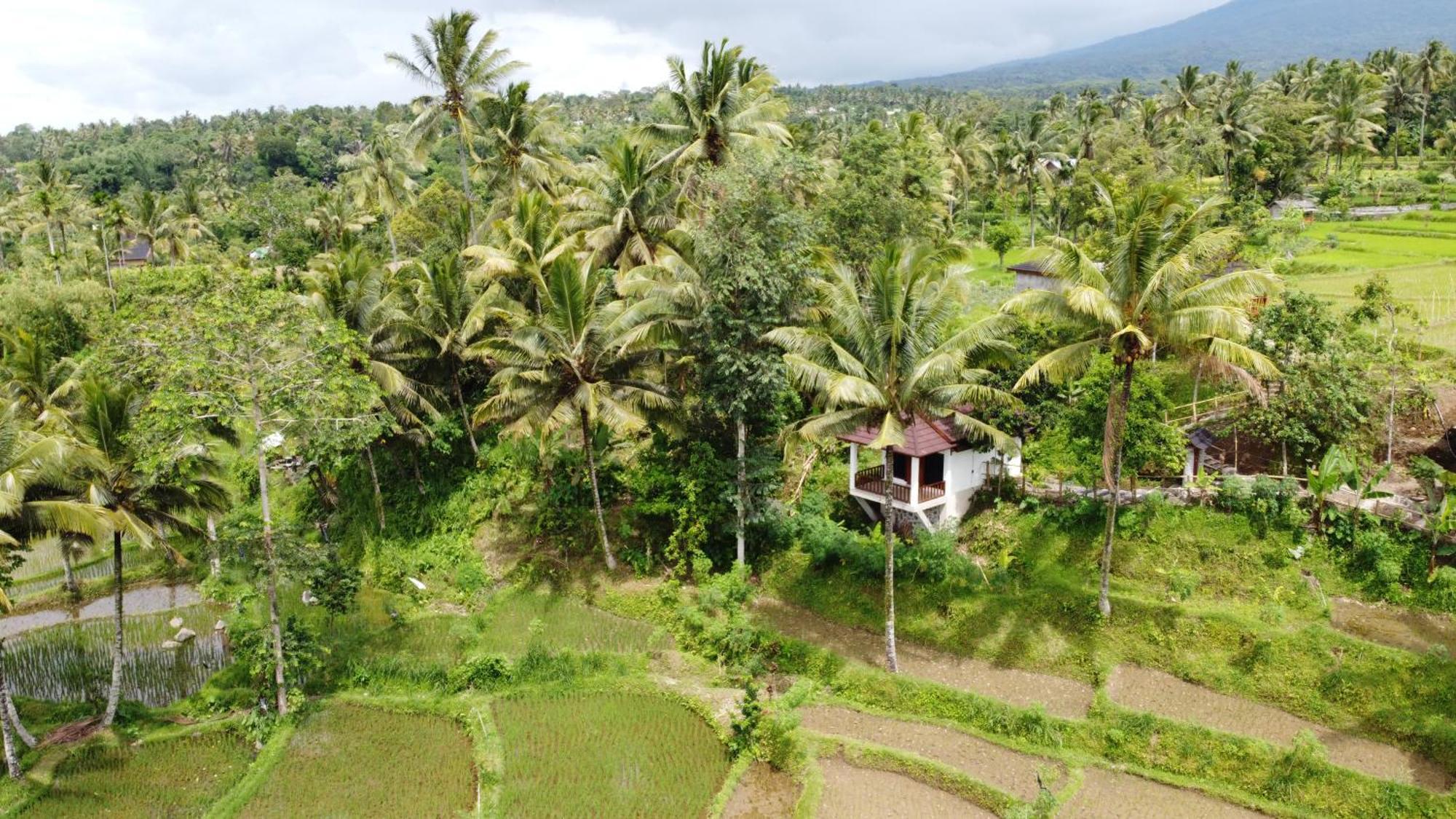 Nea Cottage Lombok Tetebatu Extérieur photo