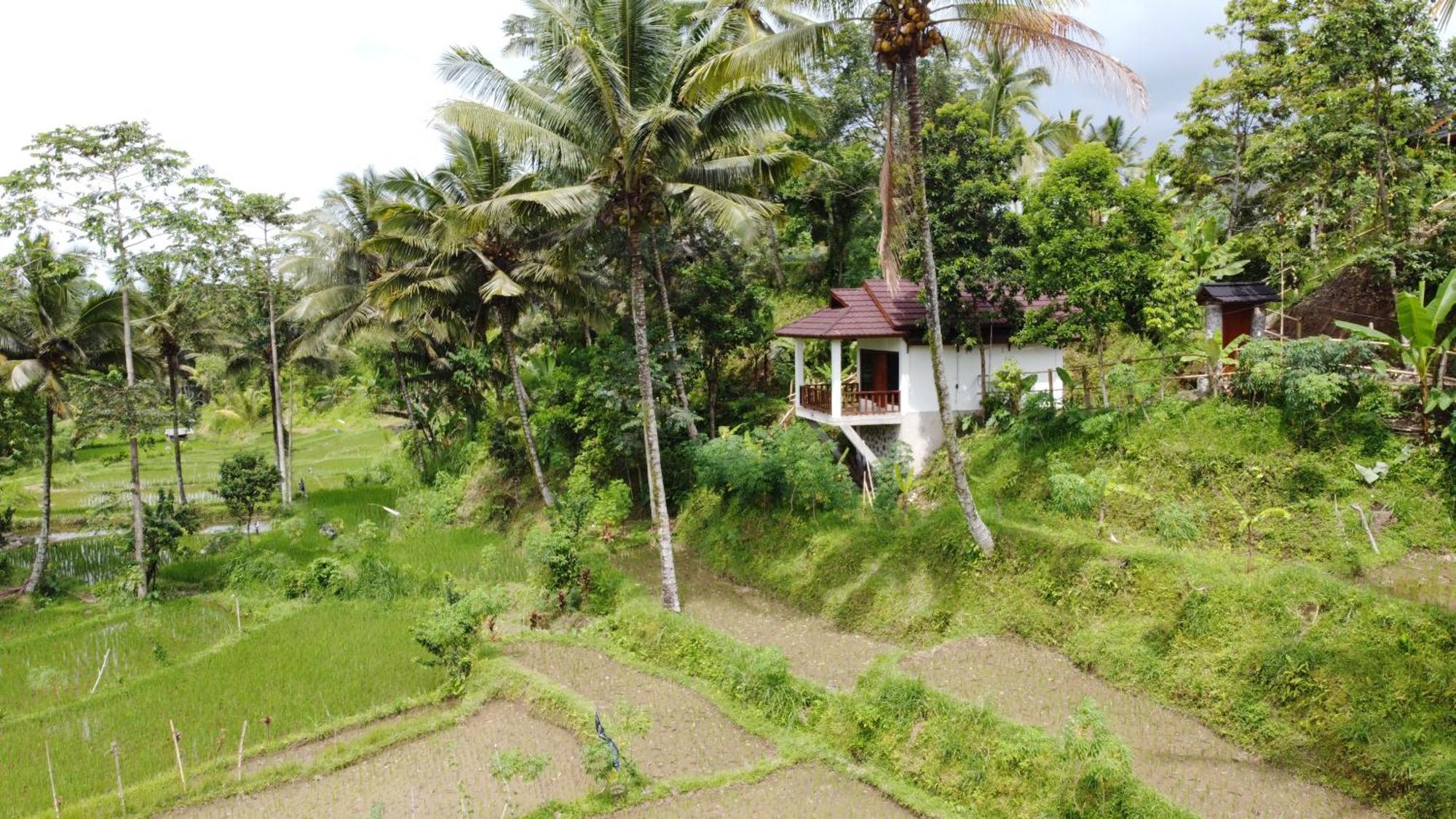 Nea Cottage Lombok Tetebatu Extérieur photo