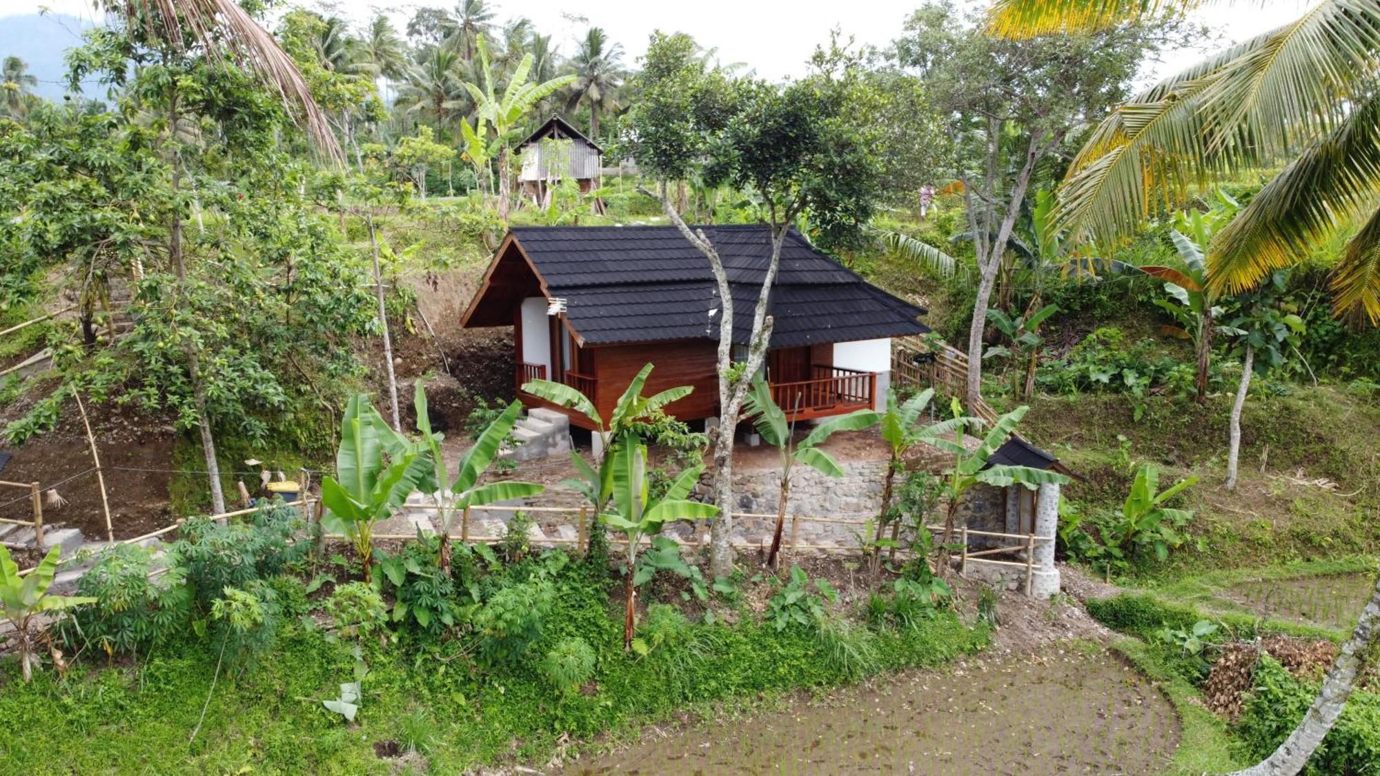 Nea Cottage Lombok Tetebatu Extérieur photo