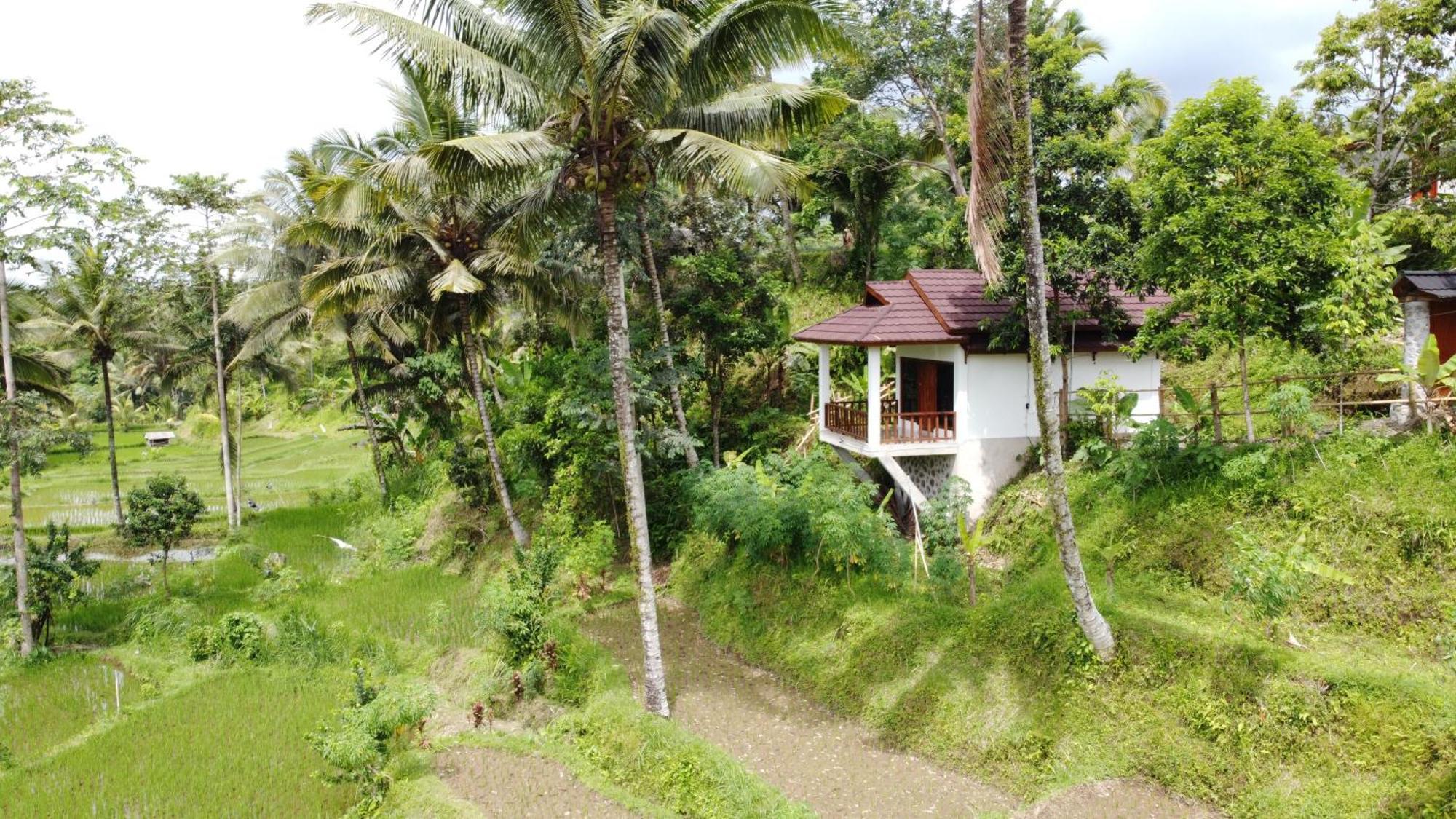 Nea Cottage Lombok Tetebatu Extérieur photo