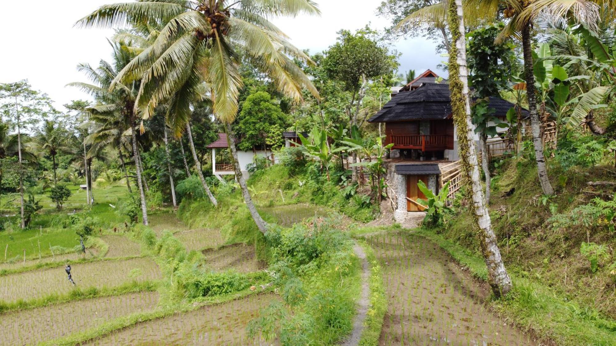 Nea Cottage Lombok Tetebatu Extérieur photo