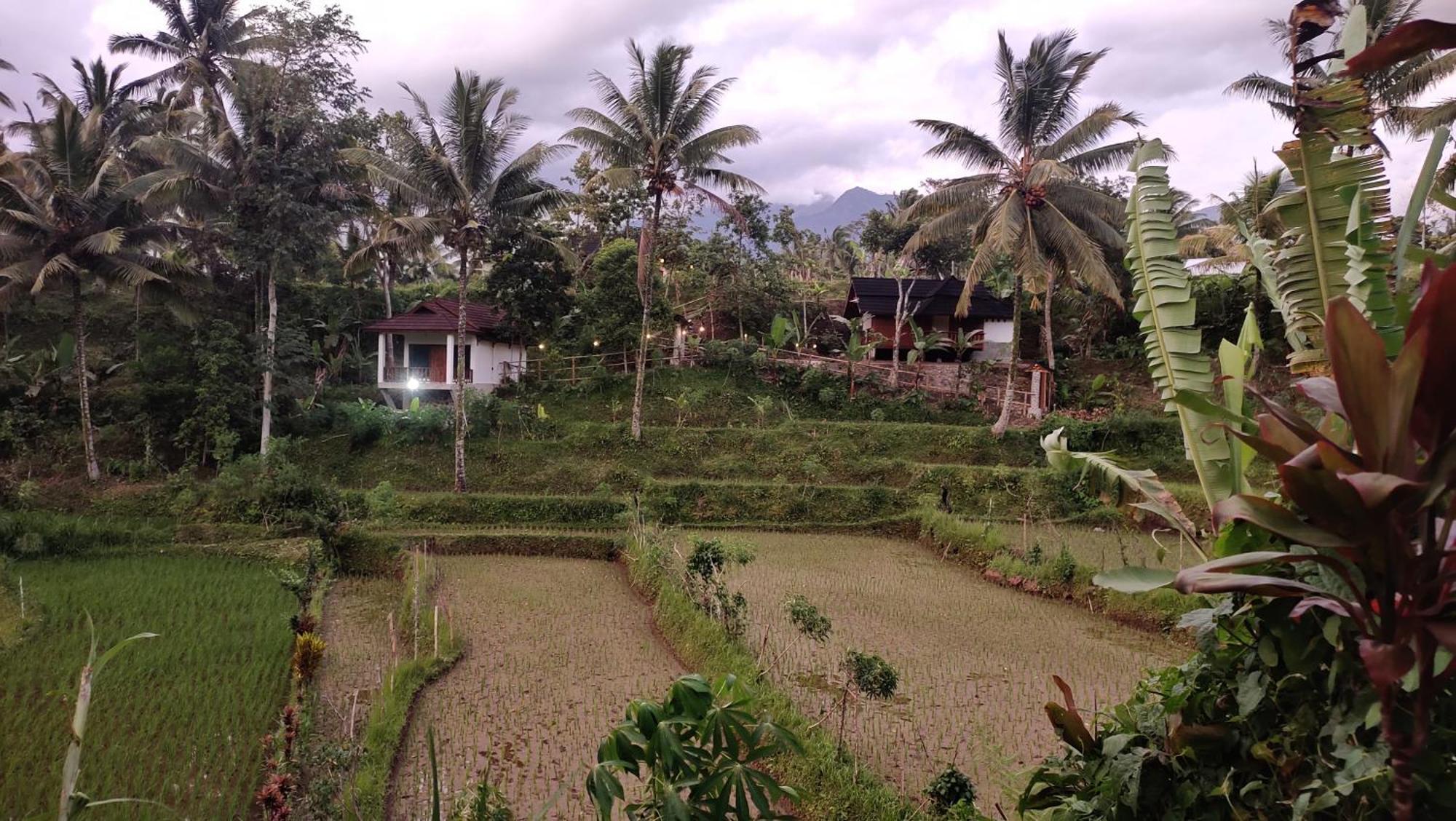 Nea Cottage Lombok Tetebatu Extérieur photo
