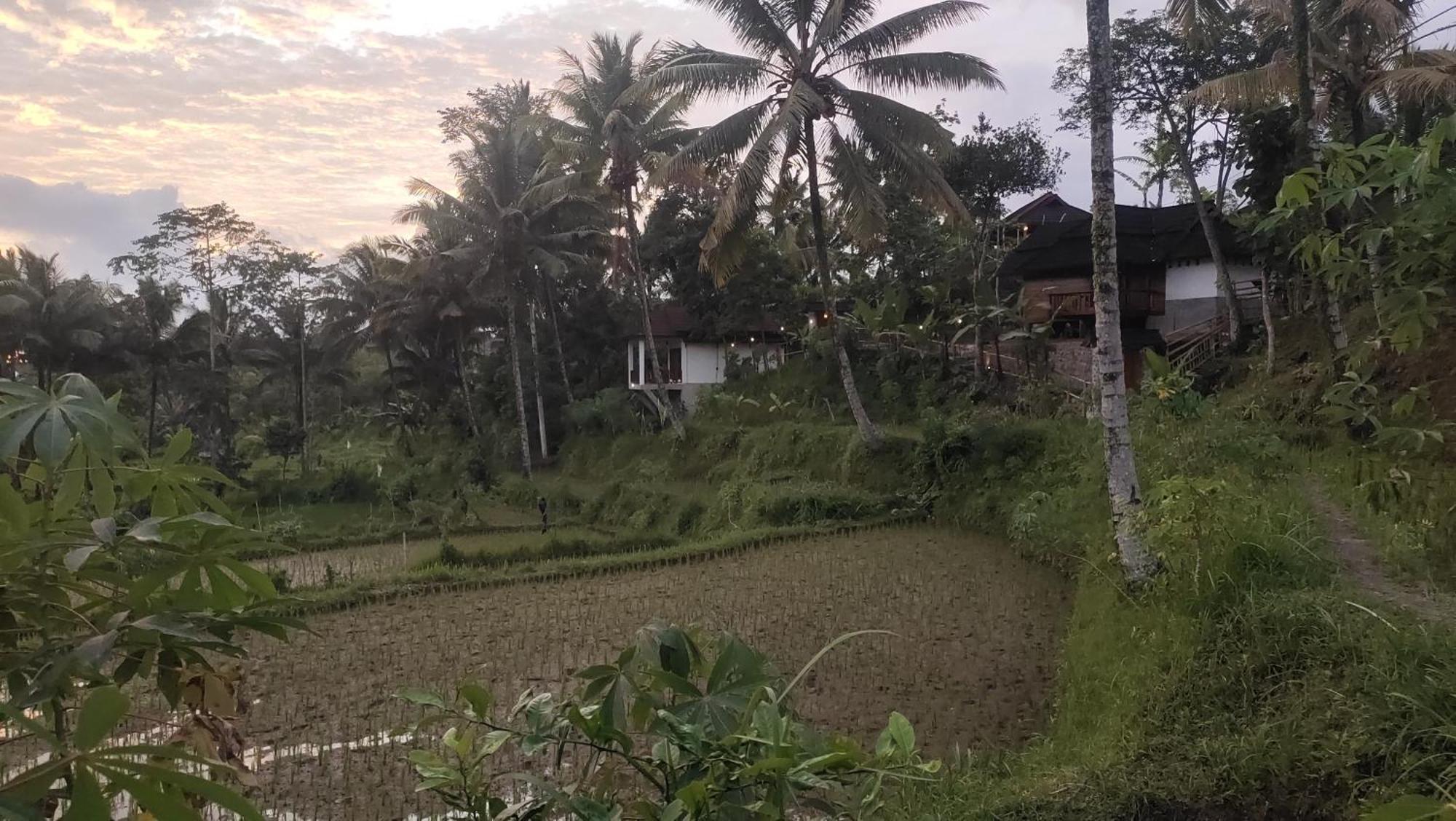 Nea Cottage Lombok Tetebatu Extérieur photo