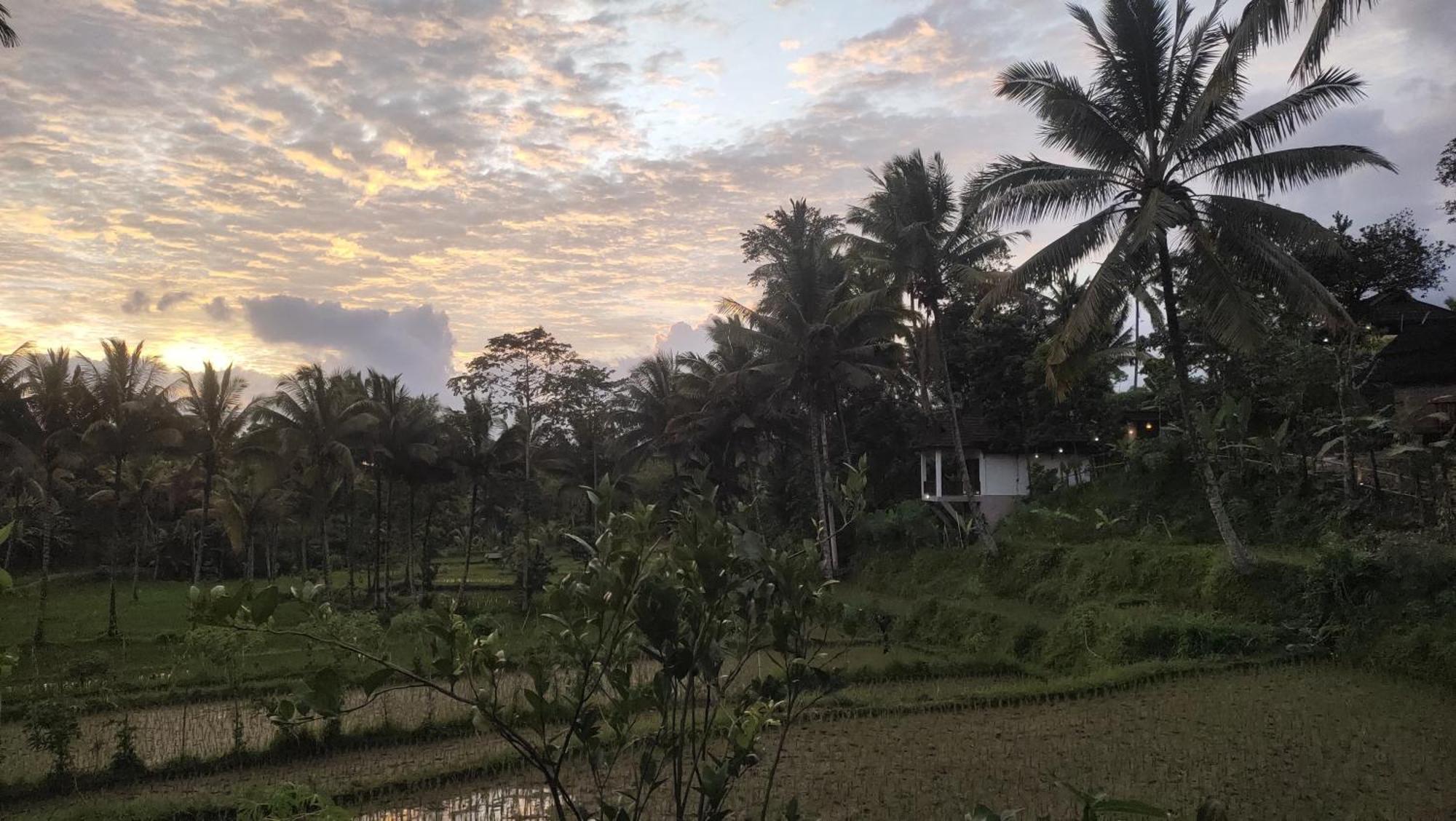 Nea Cottage Lombok Tetebatu Extérieur photo