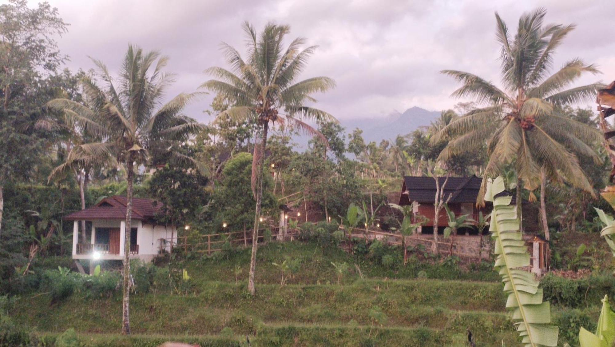 Nea Cottage Lombok Tetebatu Extérieur photo