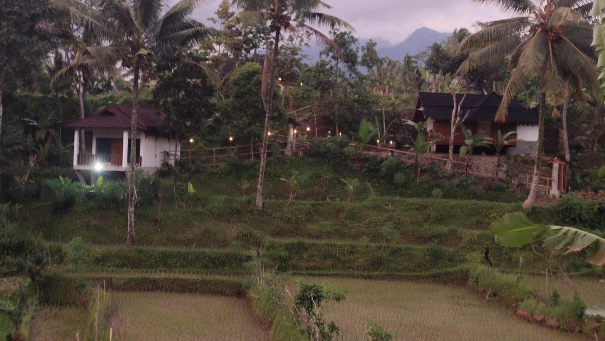 Nea Cottage Lombok Tetebatu Extérieur photo