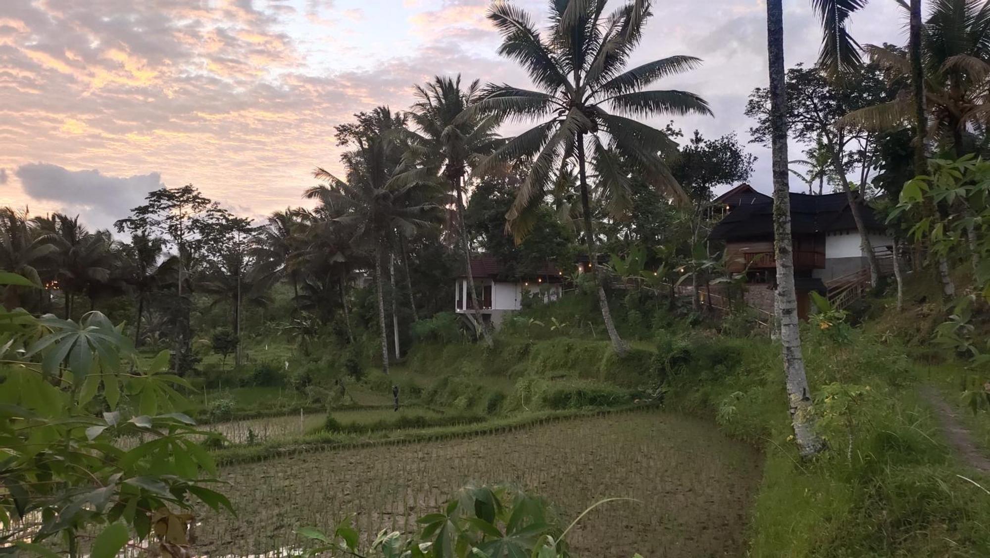 Nea Cottage Lombok Tetebatu Extérieur photo