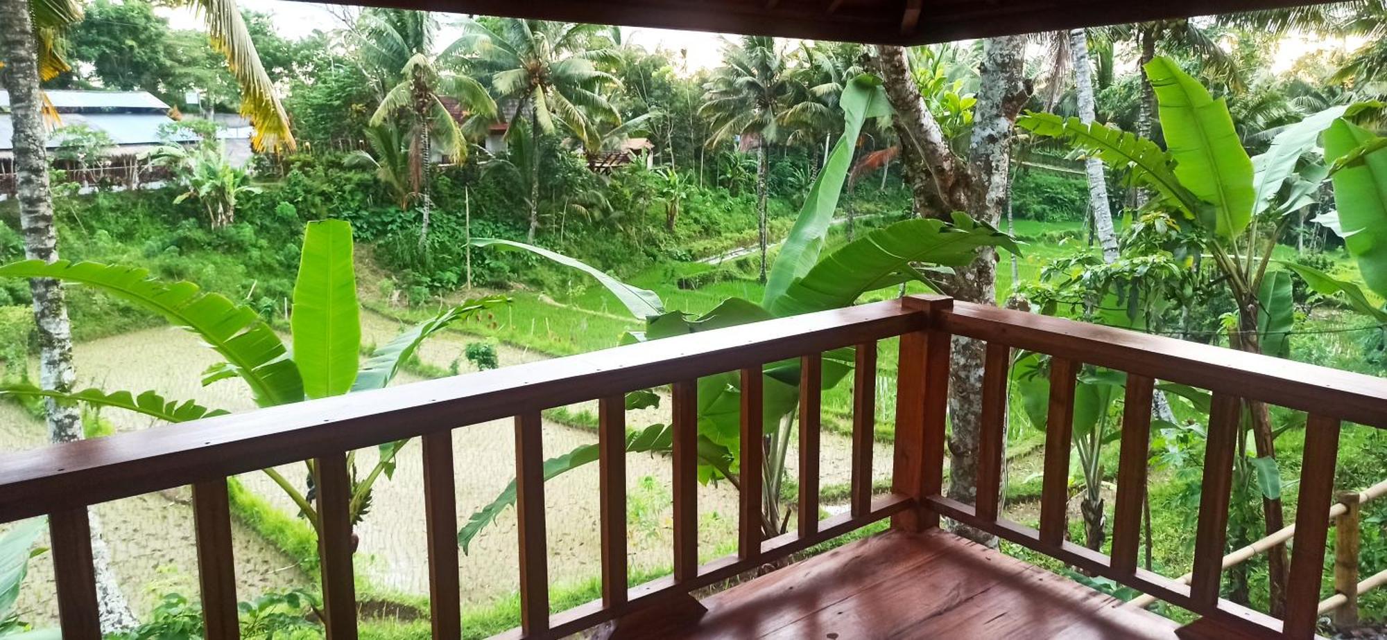 Nea Cottage Lombok Tetebatu Extérieur photo